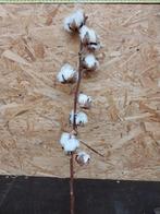 Katoentakken (8bollen)2.00 pst. Min. Afname 10 stuks, Ophalen, Nieuw