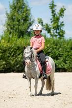 Leuke kinderpony, Zadelmak, B pony (1.17m tot 1.27m), 11 jaar of ouder, Recreatiepony