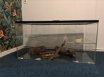 Groot glazen knaagdierenverblijf, Dieren en Toebehoren, Knaagdieren en Konijnen | Hokken en Kooien, Kooi, Gebruikt, Hamster, 75 tot 110 cm