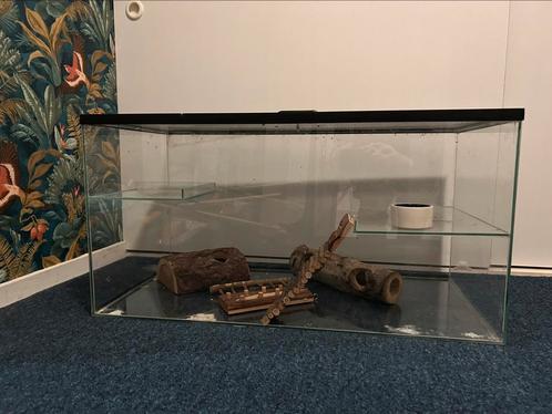 Groot glazen knaagdierenverblijf, Dieren en Toebehoren, Knaagdieren en Konijnen | Hokken en Kooien, Gebruikt, Kooi, Minder dan 60 cm