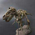 Tyrannosaurus Rex 4D Model / Dinosaurus Beeld Skelet Dier, Verzamelen, Beelden en Beeldjes, Verzenden, Nieuw, Dier