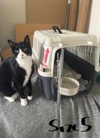 Pet carrier/ transport box, Ophalen, Zo goed als nieuw