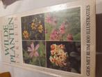 Wilde planten in kleur. Geert Husstege, Ophalen of Verzenden, Zo goed als nieuw, Bloemen, Planten en Bomen