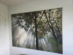Ikea canvas bos, Ophalen, Gebruikt, 125 cm of meer, Schilderij
