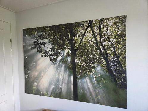 Ikea canvas bos, Huis en Inrichting, Woonaccessoires | Schilderijen, Tekeningen en Foto's, Gebruikt, Schilderij, 75 cm of meer