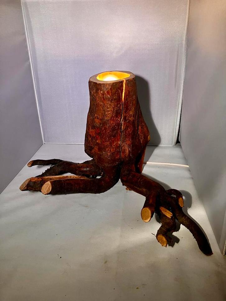 Boomstam Lamp - Uniek stuk voor Tearfund!, Huis en Inrichting, Lampen | Vloerlampen, Nieuw, Minder dan 100 cm, Hout, Ophalen of Verzenden