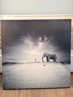 Canvas Schilderij Olifant, Ophalen, Zo goed als nieuw, Schilderij, 75 tot 100 cm