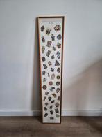 Krabbegat 4 x 11 veldtekens poster, Ophalen, Minder dan 50 cm, Gebruikt, 75 cm of meer