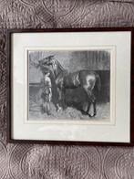 Kunstschilderij paard Houtgravure 1894, Antiek en Kunst, Kunst | Tekeningen en Foto's, Ophalen of Verzenden