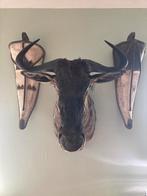 Fang maskers, Ophalen of Verzenden