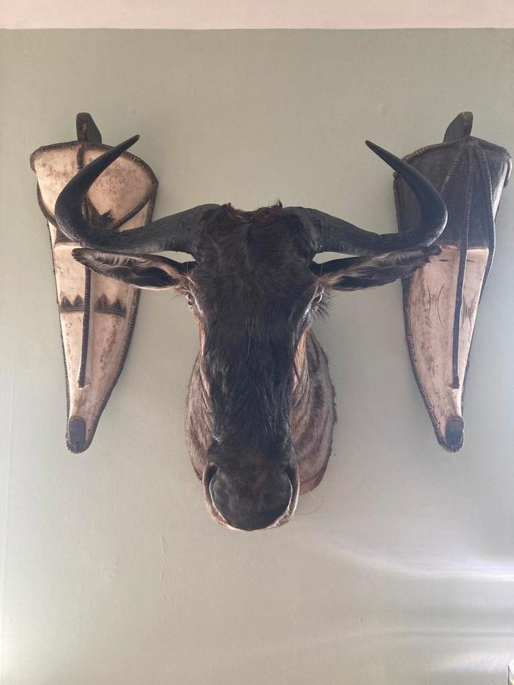 Fang maskers, Antiek en Kunst, Kunst | Niet-Westerse kunst, Ophalen of Verzenden