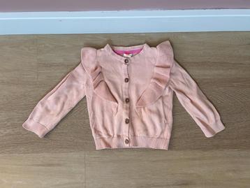 Z.g.a.n. Zalm roze vestje van de Hema, maat 92 beschikbaar voor biedingen