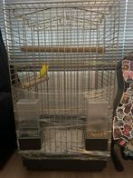 (Jonge) Engelse grasparkiet met kooi (en voer), Dieren en Toebehoren, Ophalen, Gebruikt, Metaal, Vogelkooi