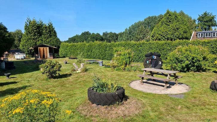 Hulp gevraagd !!, Tuin en Terras, Vijvers, Nieuw, Ophalen of Verzenden