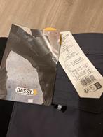 Nieuwe Dassy Werkbroek - Sample, Kom Halen!, Kleding | Heren, Broeken en Pantalons, Ophalen, Nieuw, Overige maten, Grijs