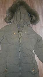 groene jas, Kleding | Dames, Jassen | Winter, Ophalen of Verzenden, Zo goed als nieuw, Maat 38/40 (M), Groen