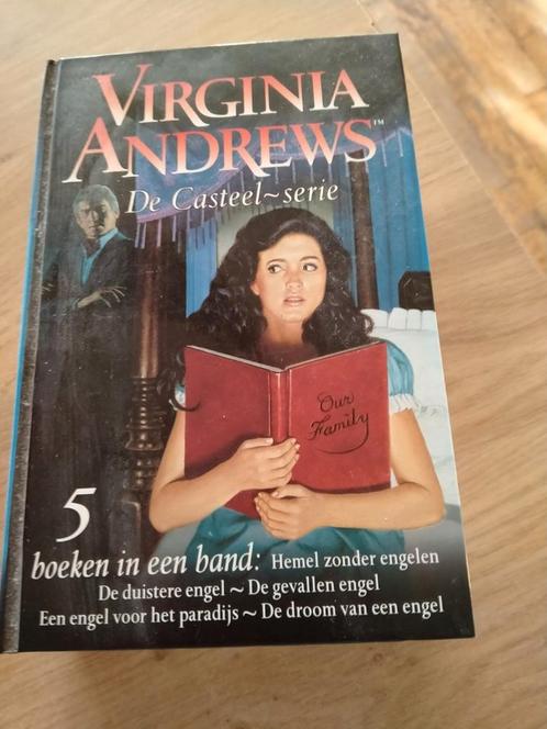 Virginia Andrews - De Casteel-serie omnibus, Boeken, Thrillers, Zo goed als nieuw, Nederland, Ophalen of Verzenden