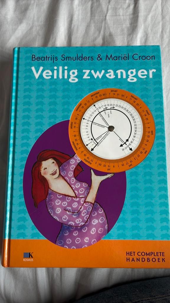 Mariel Croon - Veilig zwanger, Boeken, Zwangerschap en Opvoeding, Zo goed als nieuw, Zwangerschap en Bevalling, Ophalen of Verzenden