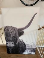 Muurdecoratie Schotse Hooglander, Ophalen, Oorspronkelijke maker, Nieuw, 75 tot 100 cm