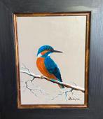 Ijsvogel, Ophalen of Verzenden