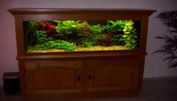 Gratis make-over-tips voor gezelschapsaquarium beschikbaar voor biedingen