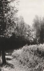 AXEL Recreatiebos, Verzenden, 1980 tot heden, Gelopen, Zeeland