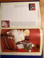 Het poppen dagboek, Ophalen of Verzenden, Zo goed als nieuw, Overige onderwerpen