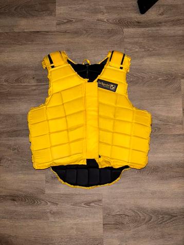 Bodyprotector Sir Lancelot beschikbaar voor biedingen