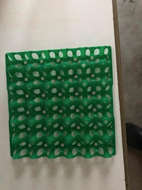 eiertray voor 30 eieren, Dieren en Toebehoren, Pluimvee | Toebehoren, Zo goed als nieuw, Overige typen, Ophalen of Verzenden