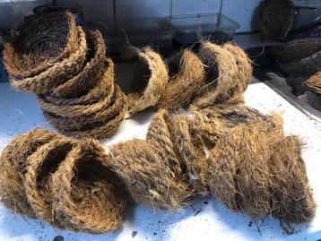 Vogel nestjes beschikbaar voor biedingen