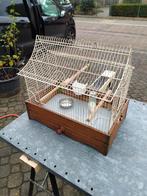 Vogelkooi vintage look, Ophalen, Metaal, Vogelkooi