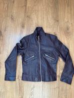 Leren jasje dames - Rood/paars, Ophalen of Verzenden, Zo goed als nieuw, Maat 38/40 (M), Paars