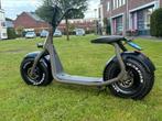 Nette bob bike, Ophalen, Zo goed als nieuw, Elektrisch