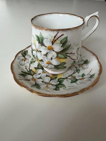 Royal Albert White Dogwood Kop en Schotel beschikbaar voor biedingen