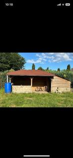 Houten schuur –deels gedemonteerd – veel bruikbaar hout, Tuin en Terras, Tuinhuizen, Ophalen, Gebruikt, Schuur