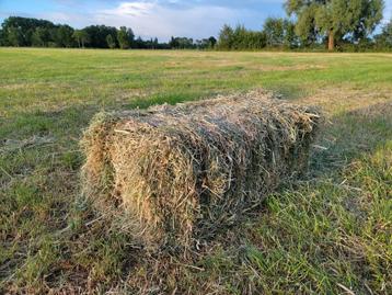 Baaltjes hooi beschikbaar voor biedingen