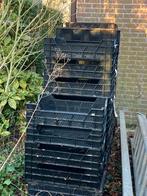 Plantenkratten/ Veenmanskisten, Tuin en Terras, Ophalen, Kweekbak