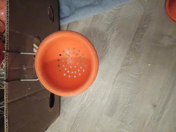 Nest mandje kleine vogels. beschikbaar voor biedingen