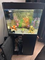 Juwel lido 120 met helialux Day&night, Dieren en Toebehoren, Ophalen, Gebruikt, Leeg aquarium