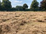 Hooi, pickup baaltjes, onbemest, Dieren en Toebehoren, Dierenvoeding, Ophalen, Vee
