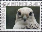 Nederland- Persoonlijke- Natuur- Roofvogels- Giervalk - P, Verzenden, Na 1940, Postfris