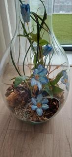 Mooie glazen pot met kurk en gat., Ophalen, Overige kleuren, Glas, Minder dan 50 cm