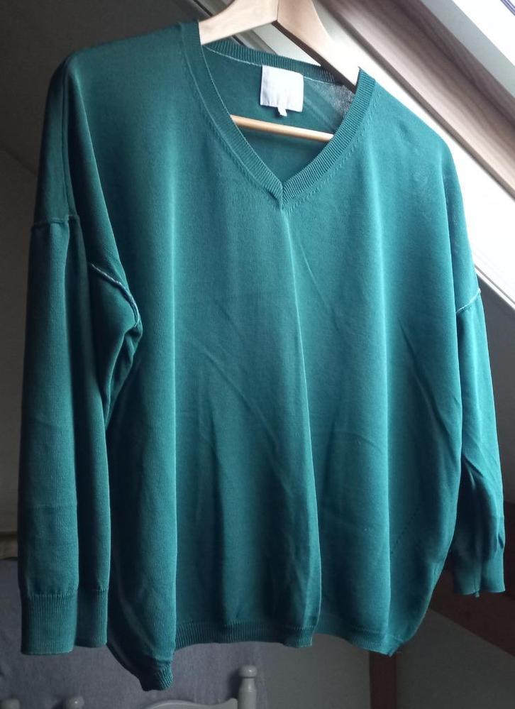 Ginger dunne trui groen M40, Kleding | Dames, Truien en Vesten, Zo goed als nieuw, Maat 38/40 (M), Groen, Ophalen of Verzenden