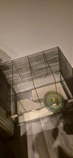 Hamsterkooi, Kooi, Minder dan 75 cm, Zo goed als nieuw, Ophalen