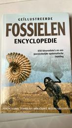 Fossielen encyclopedie z.g.a.n., Ophalen of Verzenden, Zo goed als nieuw, Stanislava Hrdlickova; Ruzena Gregorova; Martin Ivanov