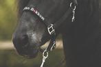 Halsters met stalnaam, Dieren en Toebehoren, Paarden en Pony's | Hoofdstellen en Tuigage, Ophalen of Verzenden, Nieuw, Overige soorten