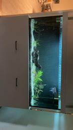 Aquarium gratis ophalen, Dieren en Toebehoren, Vissen | Aquaria en Toebehoren, Ophalen, Gebruikt, Leeg aquarium