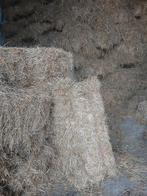 Paardenhooi, Ophalen, Vee