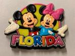 2 disney koelkast magneet 2010 walt disney world + florida, Overige typen, Ophalen of Verzenden, Zo goed als nieuw, H