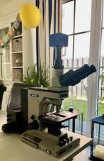 Microscope Reichert Diastar 420 E  with Zeiss AxioCam, Ophalen, Zo goed als nieuw, Minder dan 400x, Biologische microscoop